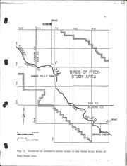 Tapa de Ecology of Townsend ground squirrels in the birds of prey study area
