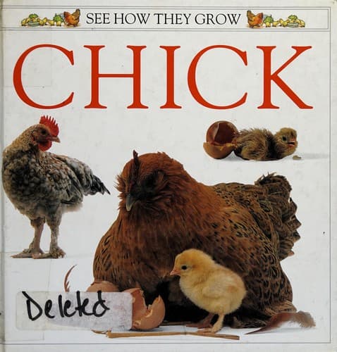 Tapa de Chick