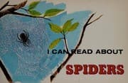 Tapa de I Can Read About Spiders