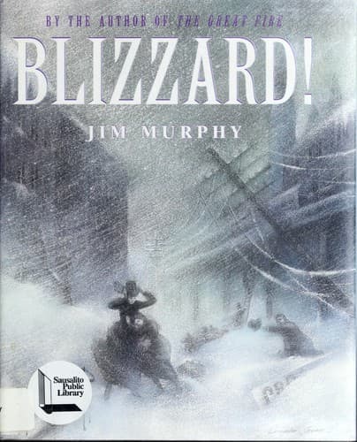 Tapa de Blizzard