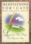 Tapa de Meditations for cats who do too much