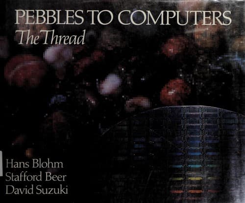 Tapa de Pebbles to computers