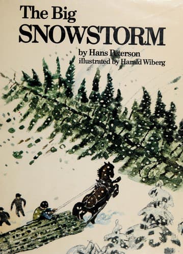 Tapa de The big snowstorm