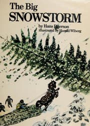 Tapa de The big snowstorm