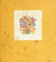 Tapa de The magic of growing up