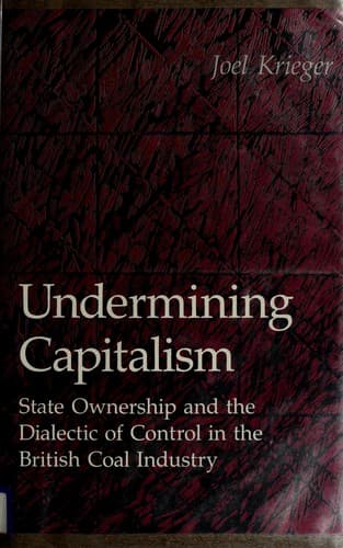Tapa de Undermining Capitalism