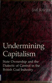 Tapa de Undermining Capitalism