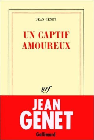 Tapa de Un captif amoureux