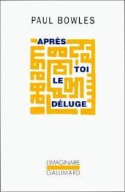 Tapa de Après toi le déluge