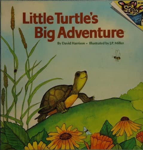 Tapa de Little Turtles Big Adv