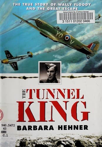 Tapa de The tunnel king