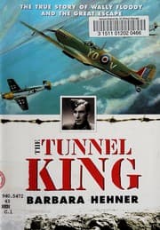 Tapa de The tunnel king