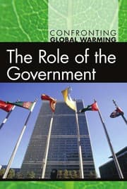 Tapa de The role of the government