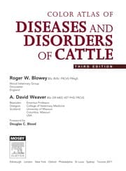 Tapa de Color atlas of diseases and disorders of cattle
