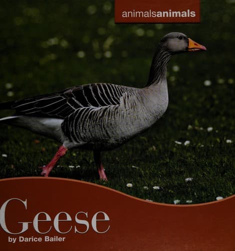 Tapa de Geese