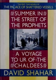 Tapa de Summer in the Street of the Prophets