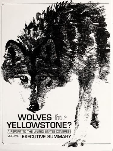 Tapa de Wolves for Yellowstone?