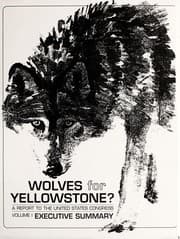 Tapa de Wolves for Yellowstone?