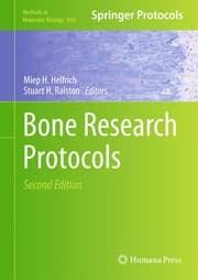 Tapa de Bone research protocols