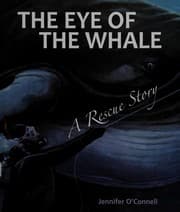 Tapa de The eye of the whale