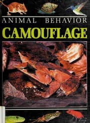 Tapa de Camouflage