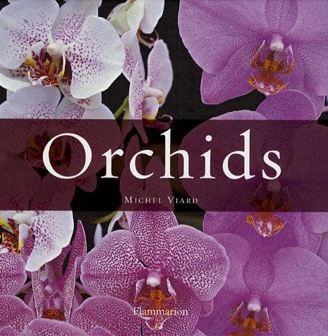 Tapa de Orchids