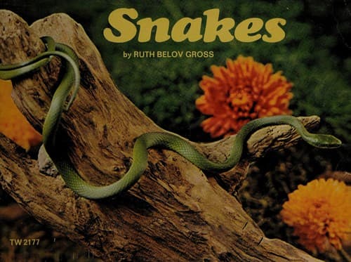 Tapa de Snakes