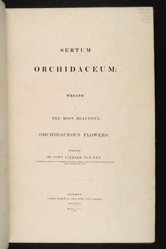 Tapa de Sertum orchidaceum
