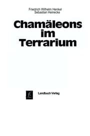 Tapa de Chama leons im Terrarium