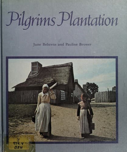 Tapa de Pilgrims plantation