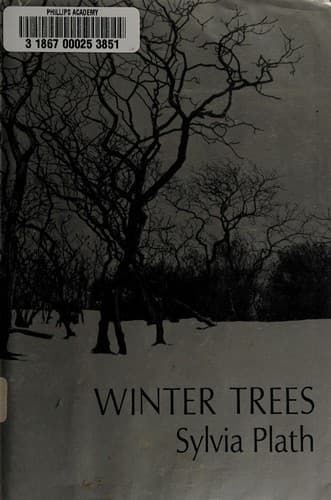 Tapa de Winter trees. --