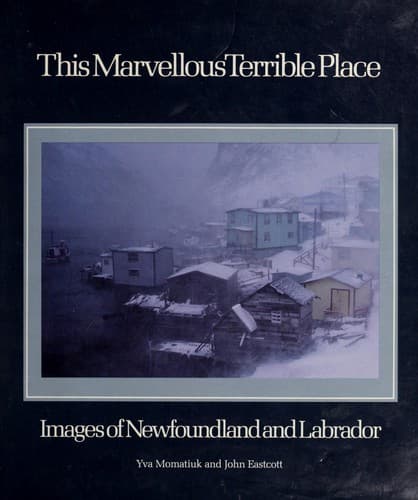 Tapa de This marvellous terrible place