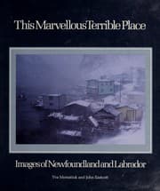 Tapa de This marvellous terrible place