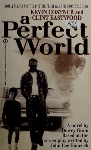 Tapa de A Perfect World