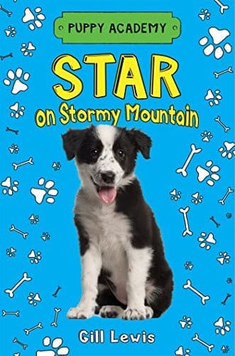 Tapa de Star on Stormy Mountain