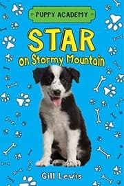 Tapa de Star on Stormy Mountain