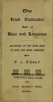 Tapa de The Irish vindicator both of race and language