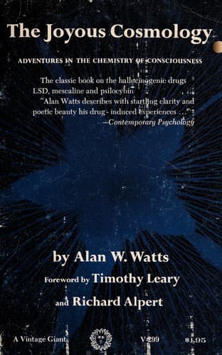 Tapa de The joyous cosmology