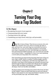Tapa de Dog tricks for dummies