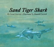 Tapa de Sand tiger shark