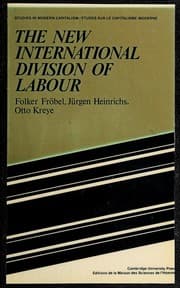 Tapa de The new international division of labour