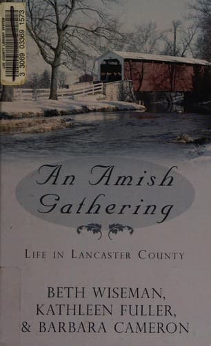 Tapa de An Amish gathering