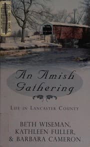 Tapa de An Amish gathering