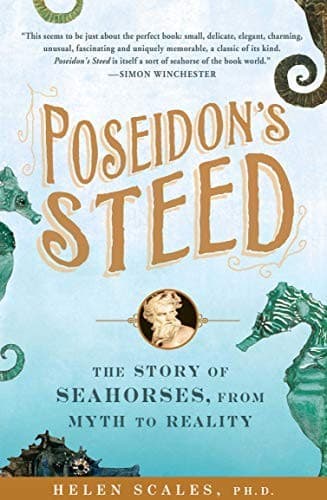 Tapa de Poseidon's Steed
