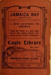 Tapa de Jamaica Bay improvement