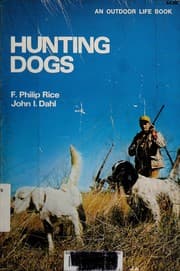 Tapa de Hunting dogs