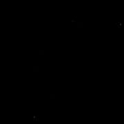 Tapa de Die schwarze Sonne