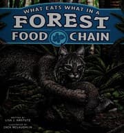 Tapa de What eats what in a forest food chain