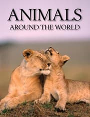 Tapa de Animals around the world