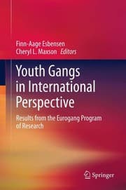 Tapa de Youth gangs in international perspective